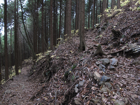 20151116hike (218)